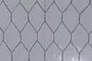 Wire Netting - Galvanised 50mm Hex