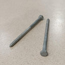 Coach Screw M6X100mm Galvanised